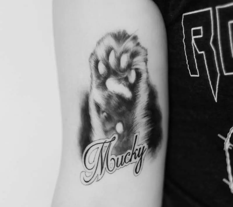 paw tattoo on arm